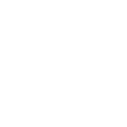 Mr Sweeps Logo-02